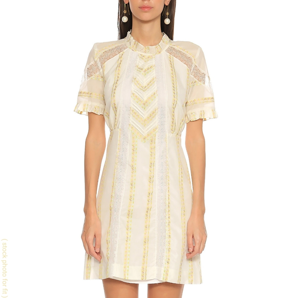 Sandro Mary floral embroidered mini dress